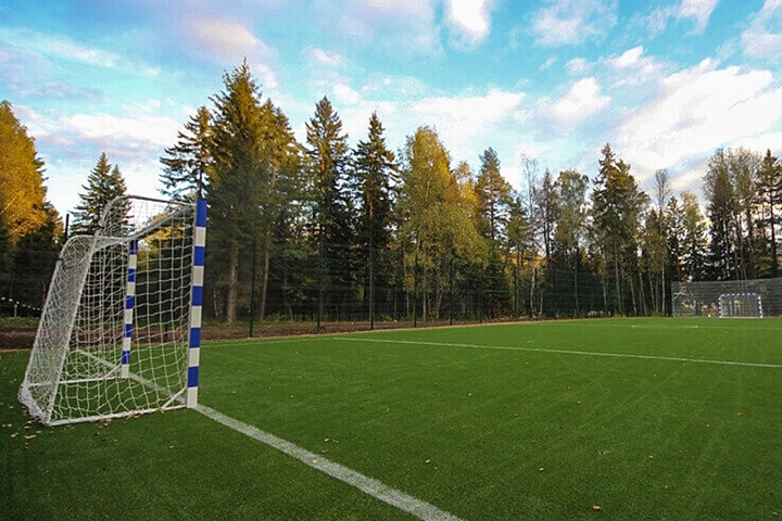 ППР на футбольное поле